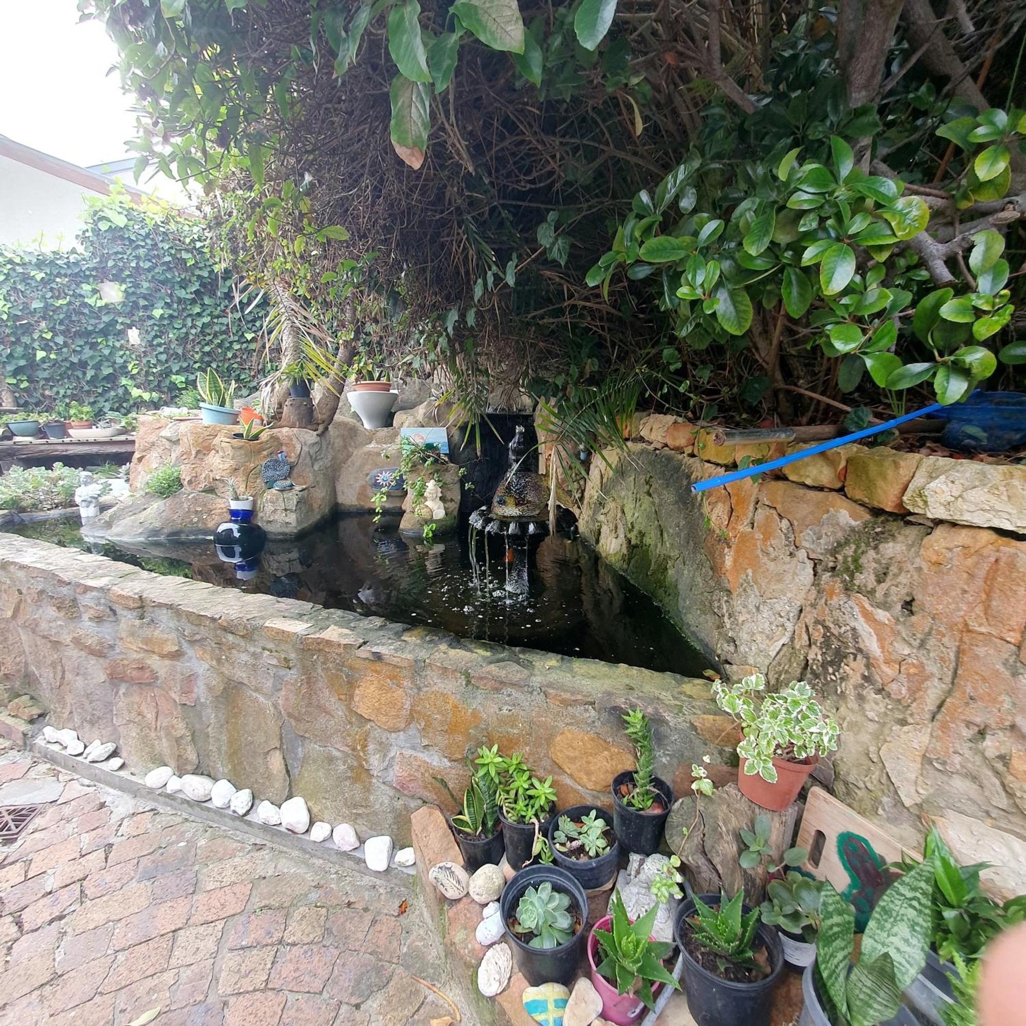 Sunset Haven Glencairn Heights Apartment Cape Town Ngoại thất bức ảnh